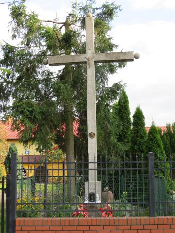 Stary Dyb w ul. Napoleo ska