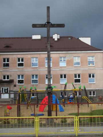 Duczki na terenie Szko y Podstawowej